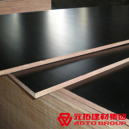 河北建筑木模板多少錢一張？河北木模板價格表？